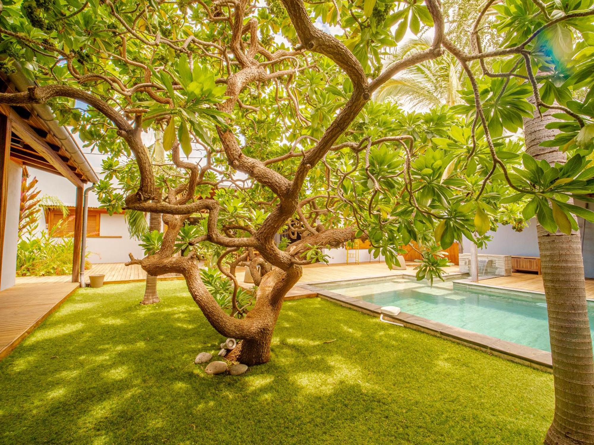 La Kaz Veloutier - Villa 4 Chambres Avec Piscine La Saline Le Bains Kültér fotó